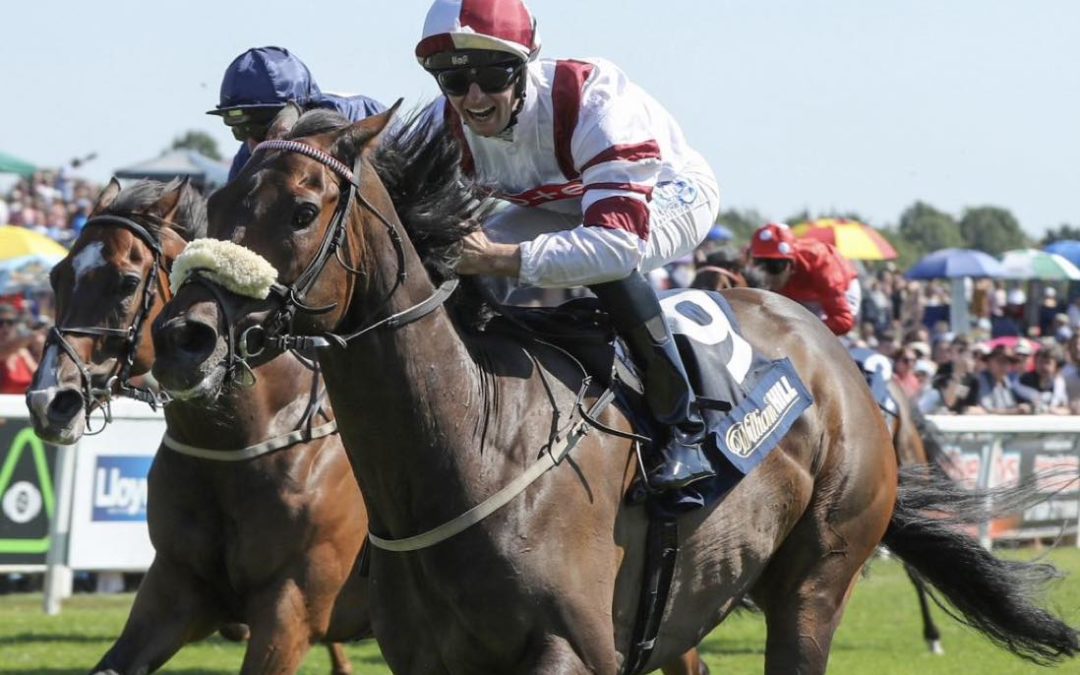 Tuesday 29th July – Evening Racing