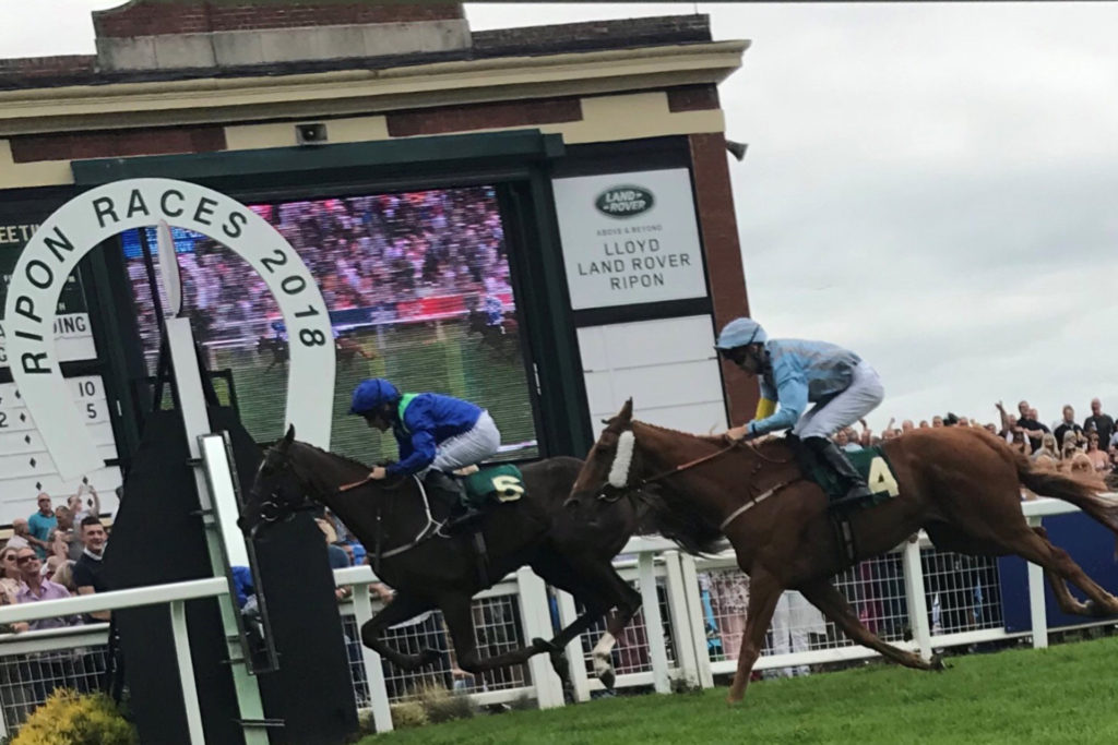 Enclosures - Ripon Races