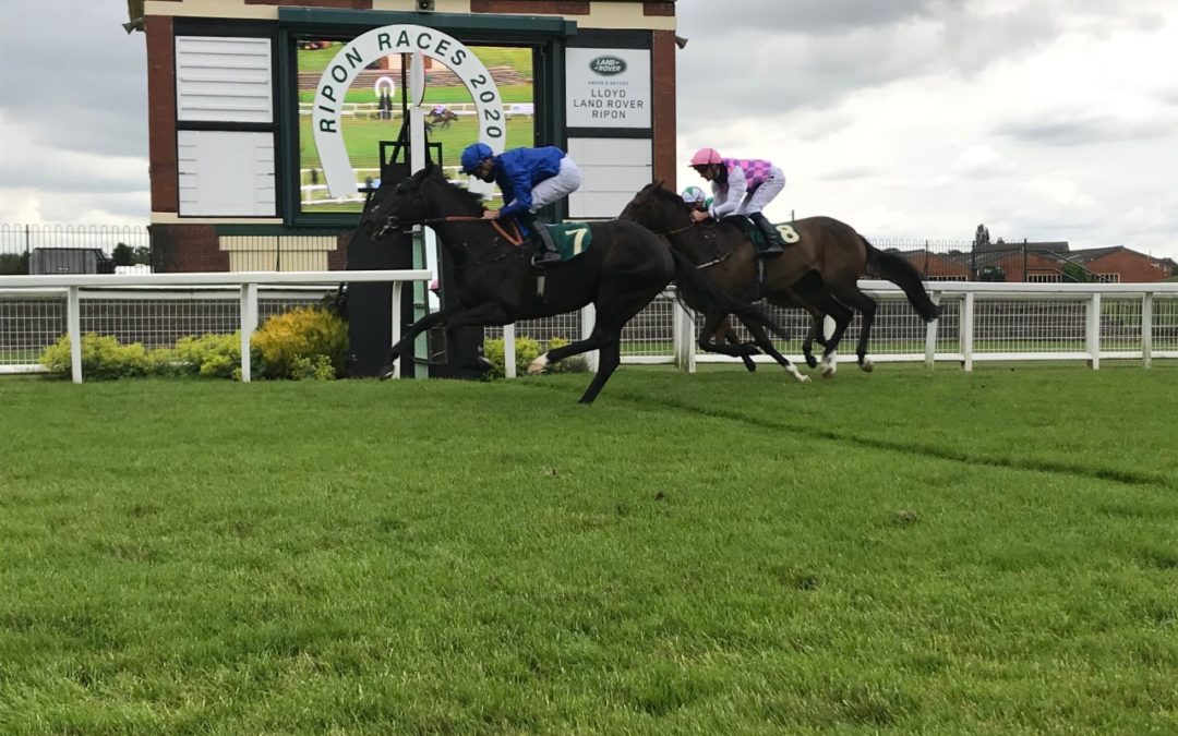 Racing Review – Wednesday 8th July
